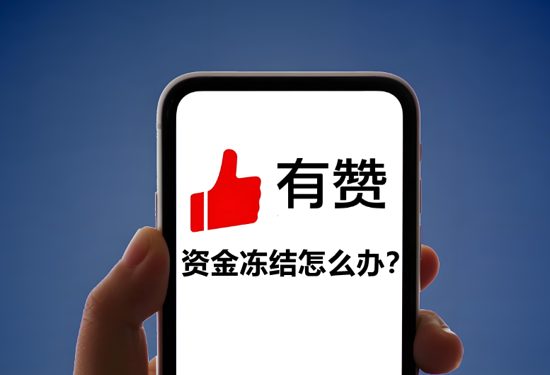有赞