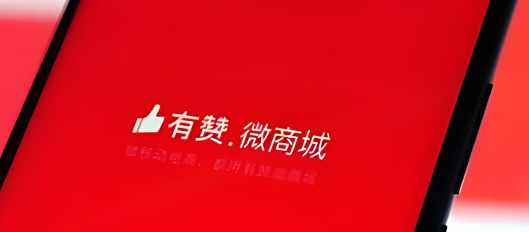 有赞资金限制提现永久冻结怎么申诉？
